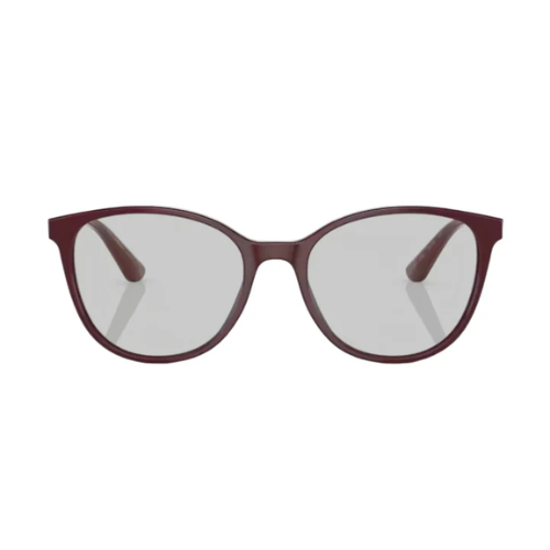 Dolce & Gabbana DG3352 501